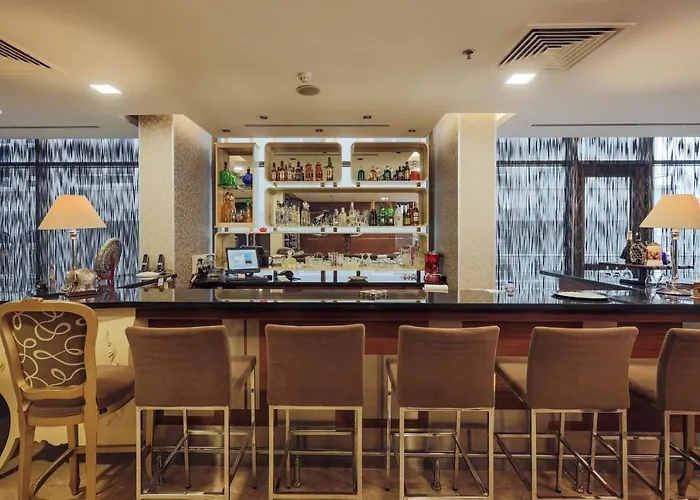 尼加公园酒店 4*