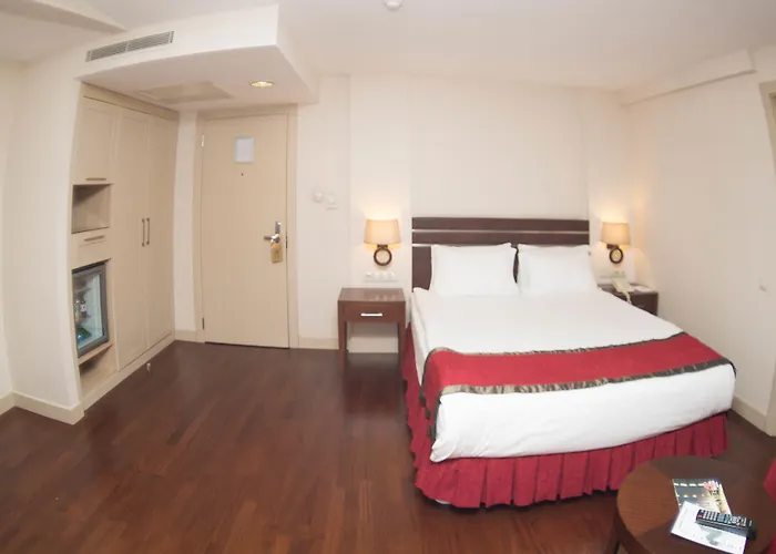 尼加公园酒店 安卡拉