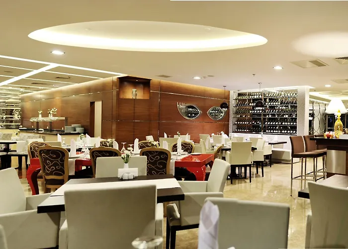 尼加公园酒店 酒店 安卡拉