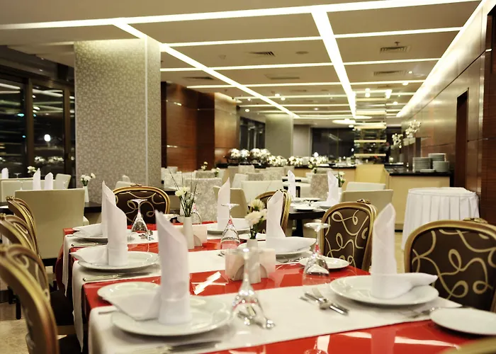 酒店 尼加公园酒店 4*