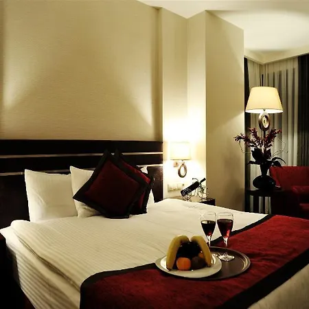 Hotel Niza Park