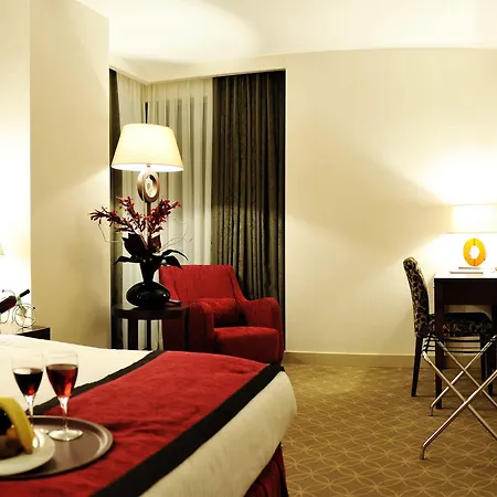 Hotel Niza Park Ankara