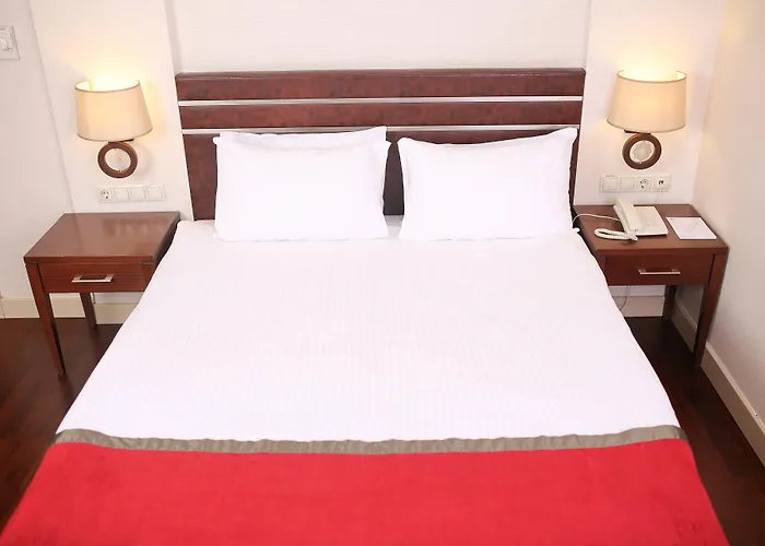 Hotel Niza Park 4*